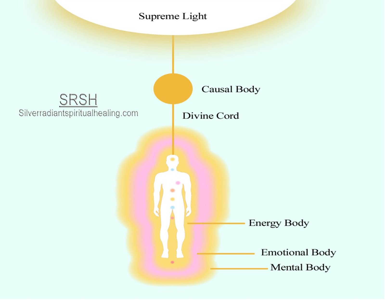 Diagram of the divine cord and energy bodies